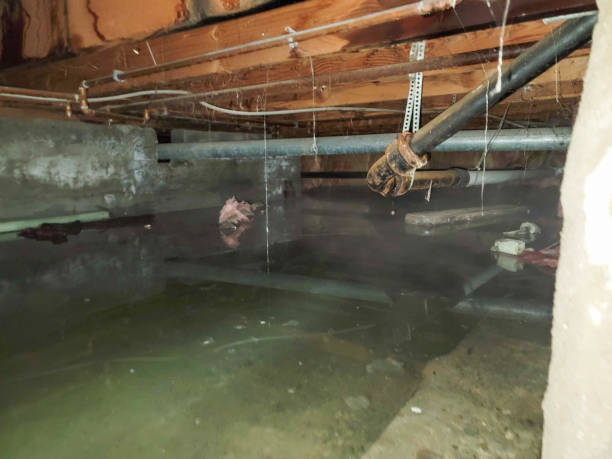 Best 24/7 water damage repair  in Exton, PA