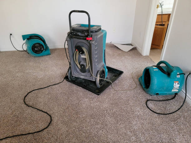 Best Water damage contractors near me  in Exton, PA