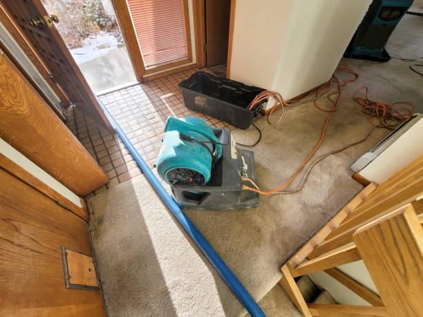 Best Flood restoration services  in Exton, PA