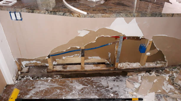 Best Local water damage restoration  in Exton, PA