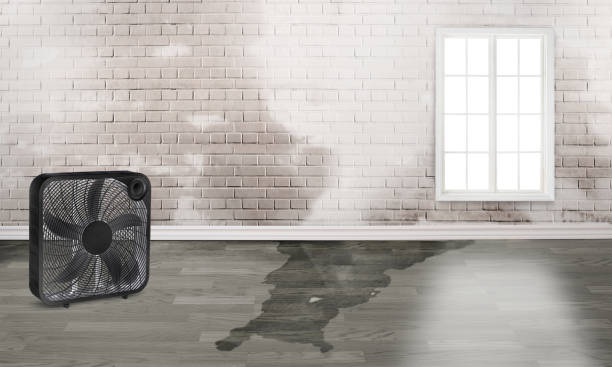 Best Water damage restoration near me  in Exton, PA