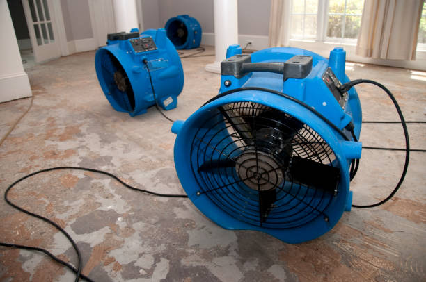 Best Professional water damage repair  in Exton, PA