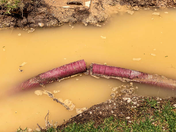 Best Water damage restoration cost  in Exton, PA