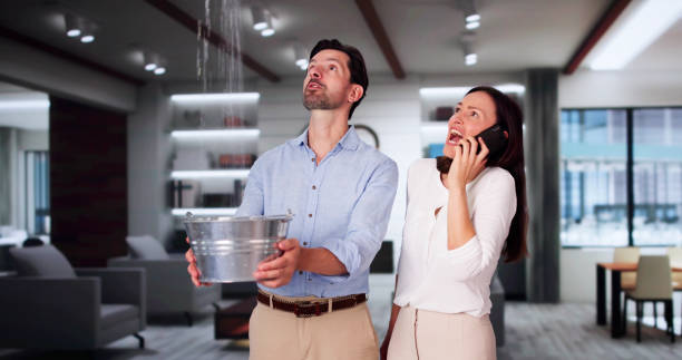 Best Mold removal after water damage  in Exton, PA